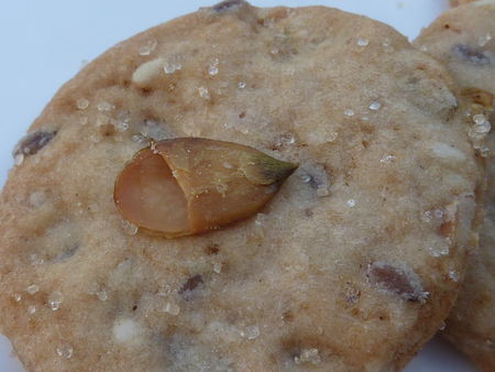 Biscuits aux graines de courges grillées - Cuisine de Deborah Biscuits aux graines de courges grillées - Cuisine de Deborah