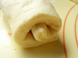 briopap11