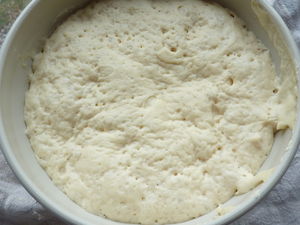 briopap3