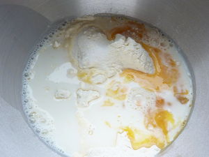 briopap4