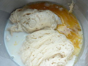 briopap5