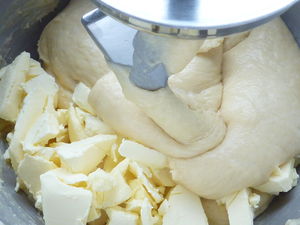 briopap6
