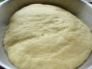 briopap8