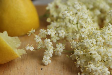 Cake aux fleurs de sureau, citron et pavot - Cuisine de Deborah Cake aux fleurs de sureau, citron et pavot - Cuisine de Deborah