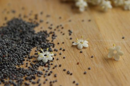 Cake aux fleurs de sureau, citron et pavot - Cuisine de Deborah Cake aux fleurs de sureau, citron et pavot - Cuisine de Deborah